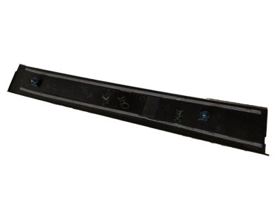 2021 Toyota Sienna Door Moldings - 75761-08010