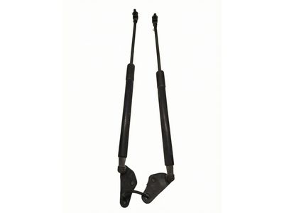 Scion 68945-21040
