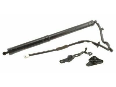 2013 Toyota RAV4 Liftgate Lift Support - 68910-09012