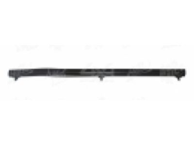Toyota 68160-89110 Weatherstrip, Front Door Glass, Outer