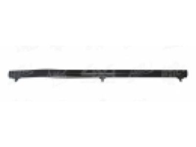 Toyota Pickup Door Seal - 68160-89110