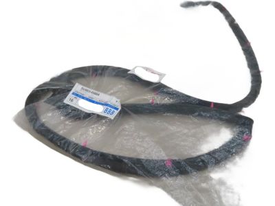 Toyota 86 Weather Strip - SU003-05804