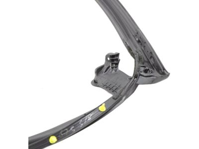 Toyota RAV4 Weather Strip - 67861-0R050