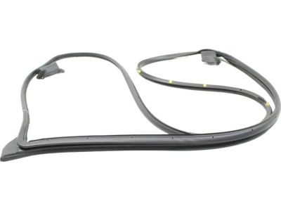 Toyota RAV4 Weather Strip - 67861-0R050