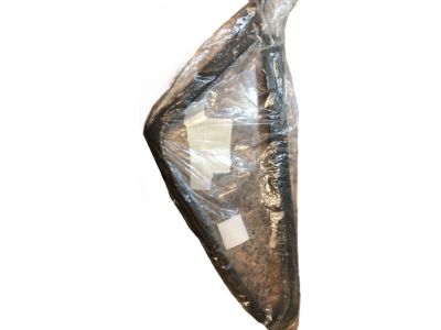 2018 Toyota Tundra Window Run - 68142-0C030