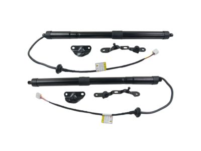 Toyota RAV4 Liftgate Lift Support - 68910-09010