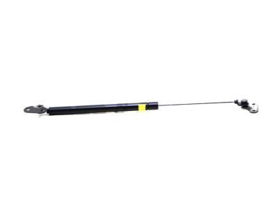 Toyota Land Cruiser Liftgate Lift Support - 68950-60040