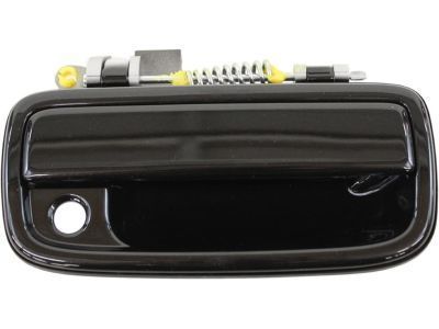 Toyota Tacoma Door Handle - 69210-35070-C0