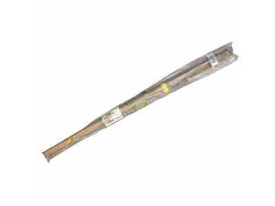 2023 Toyota Sienna Weather Strip - 68180-08030