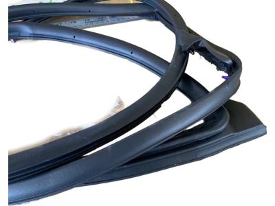 2021 Toyota Corolla Weather Strip - 67871-02310