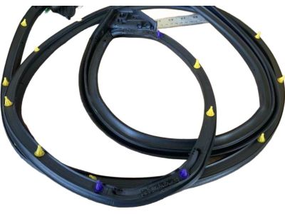2021 Toyota Corolla Weather Strip - 67871-02310