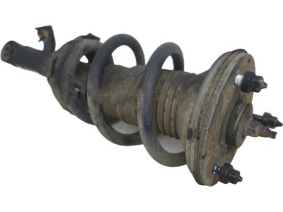 2010 Toyota Tacoma Coil Springs - 48131-04501