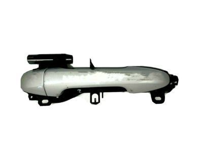 2021 Toyota Tacoma Door Handle - 69211-0E010-C0