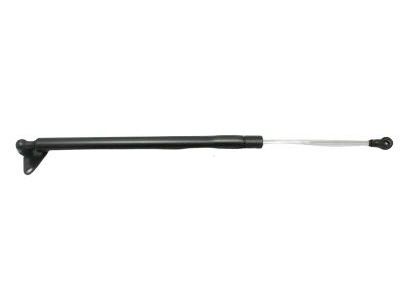 Toyota Land Cruiser Liftgate Lift Support - 68960-69055