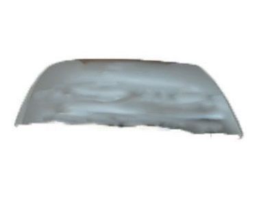 2021 Toyota Tundra Mirror Cover - 87915-0C060-J4