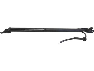 2021 Toyota Highlander Liftgate Lift Support - 68910-0E070