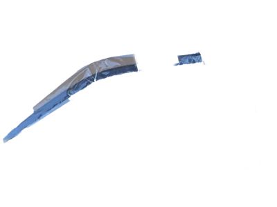 Toyota C-HR Door Moldings - 75740-10060