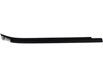 Toyota Tundra Door Moldings - 75740-0C022