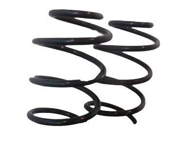 Toyota 4Runner Coil Springs - 48231-35250