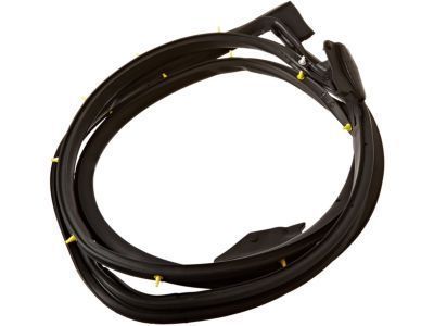 2006 Toyota 4Runner Weather Strip - 67872-35080