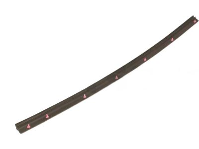 Toyota RAV4 Prime Weather Strip - 67864-42030