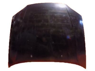 Toyota Paseo Hood - 53301-16160