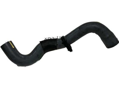 2020 Toyota Camry Radiator Hose - 16573-F0070