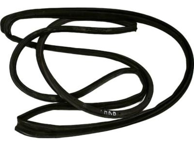 Toyota Echo Weather Strip - 67862-52020