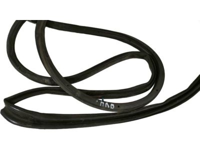 Toyota Echo Weather Strip - 67862-52020