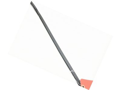 2023 Toyota Crown Door Seal - 67896-30070