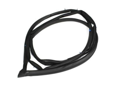 2000 Toyota Tundra Door Seal - 62312-0C020