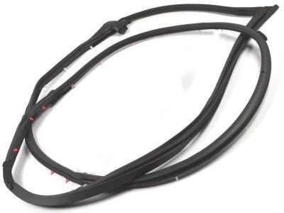 Toyota 67862-60150 Weatherstrip, Front Door, LH