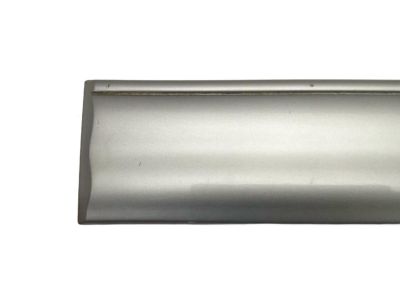 Toyota 75742-0C040-B1