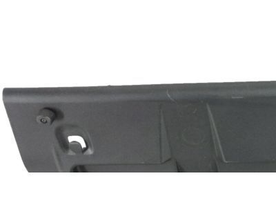 Toyota 64429-04040-C0 Tray, Luggage Compartment Side