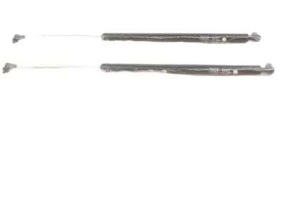 Toyota Corolla Lift Support - 68950-19465