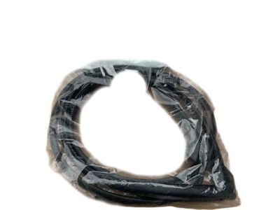 2018 Toyota Prius Weather Strip - 67871-47050