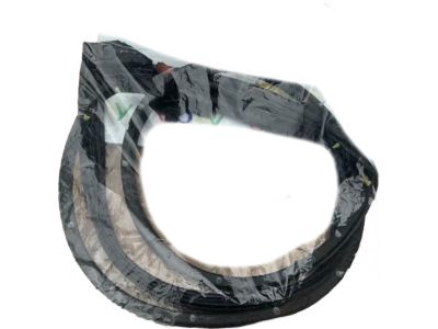2018 Toyota Prius Weather Strip - 67871-47050
