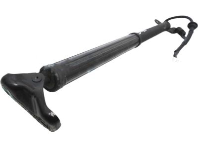 2021 Toyota Highlander Liftgate Lift Support - 68920-0E050