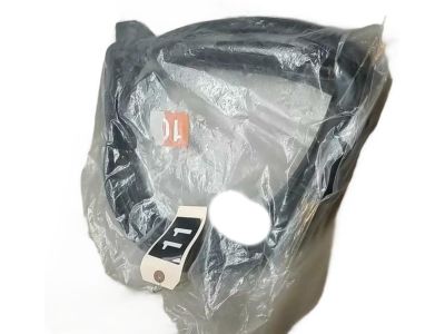 2022 Toyota C-HR Weather Strip - 67872-10100