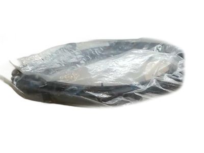 2022 Toyota C-HR Weather Strip - 67872-10100