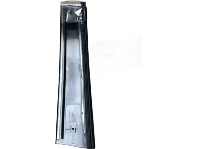 Toyota RAV4 Door Moldings - 75076-0R030