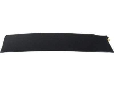 Toyota RAV4 Door Moldings - 75076-0R030