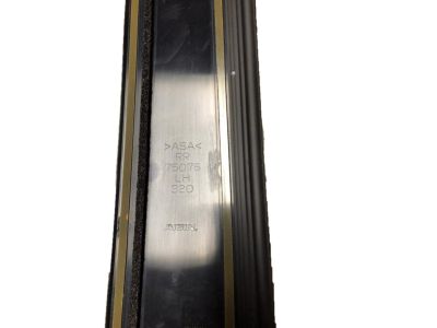 Toyota RAV4 Door Moldings - 75076-0R030