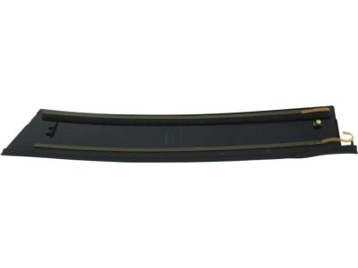 Toyota RAV4 Door Moldings - 75076-0R030