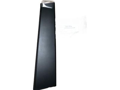 Toyota RAV4 Door Moldings - 75076-0R030