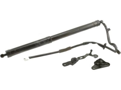 2013 Toyota RAV4 Liftgate Lift Support - 68910-09013