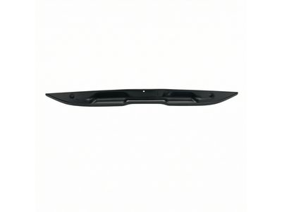 Scion SU003-03096