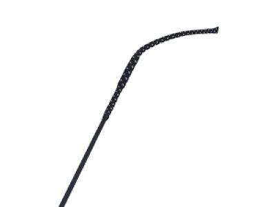 Toyota 62381-0C020 Weatherstrip, Roof Side Rail, RH