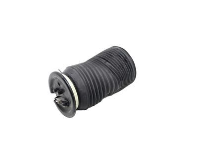 Toyota 48090-34020 Pneumatic Cylinder Assembly Rear Left Hand 48090-34020 Toyota Pneumatic Cylinder Assembly Rear Left Hand Product Photo 1 of 2