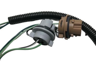 Toyota RAV4 Light Socket - 81555-42210